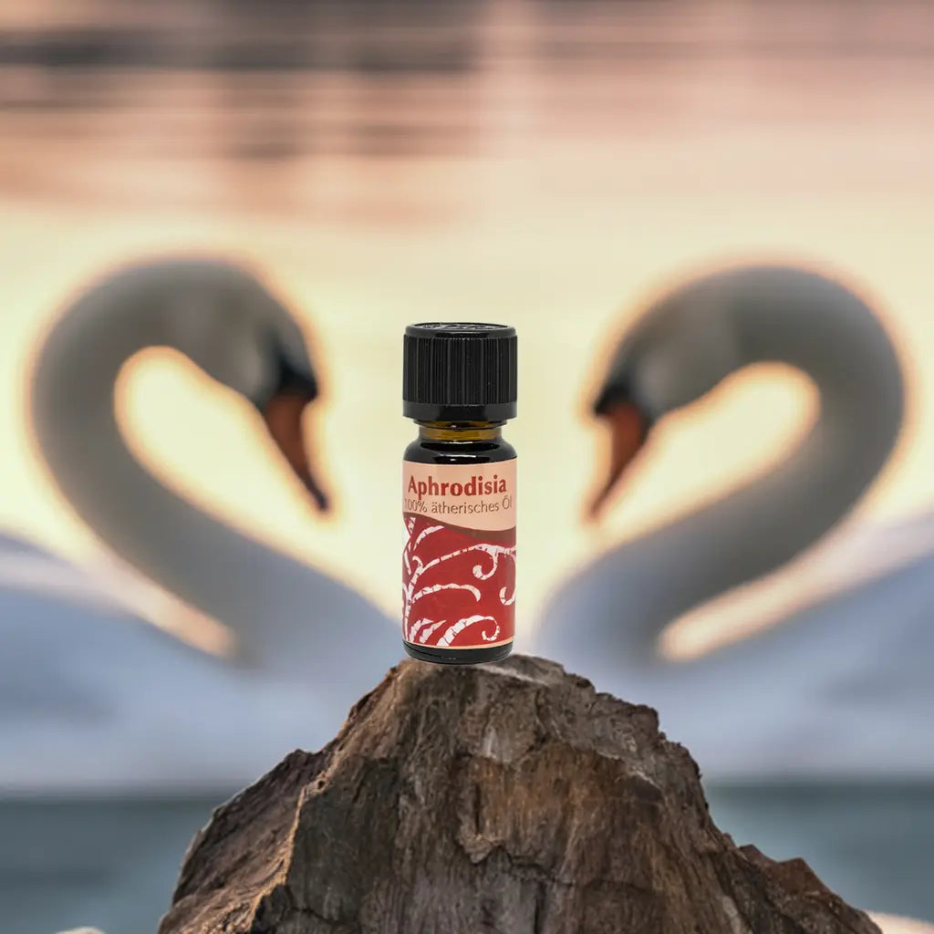 Aphrodisia Duftöl 10 ml – Sinnliches ätherisches Öl für Duftlampen & Wellness Aroma Manufaktur®