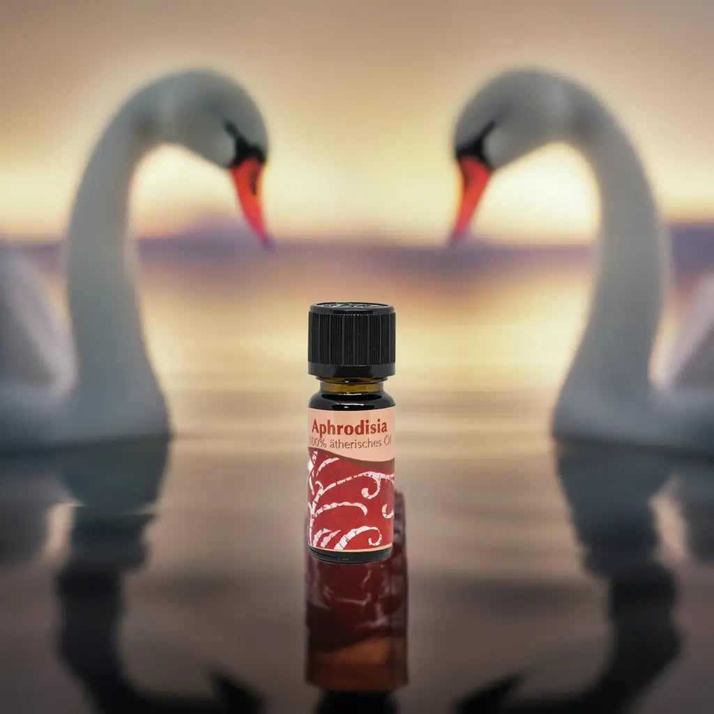 Aphrodisia Duftöl 10 ml – Sinnliches ätherisches Öl für Duftlampen & Wellness Aroma Manufaktur®