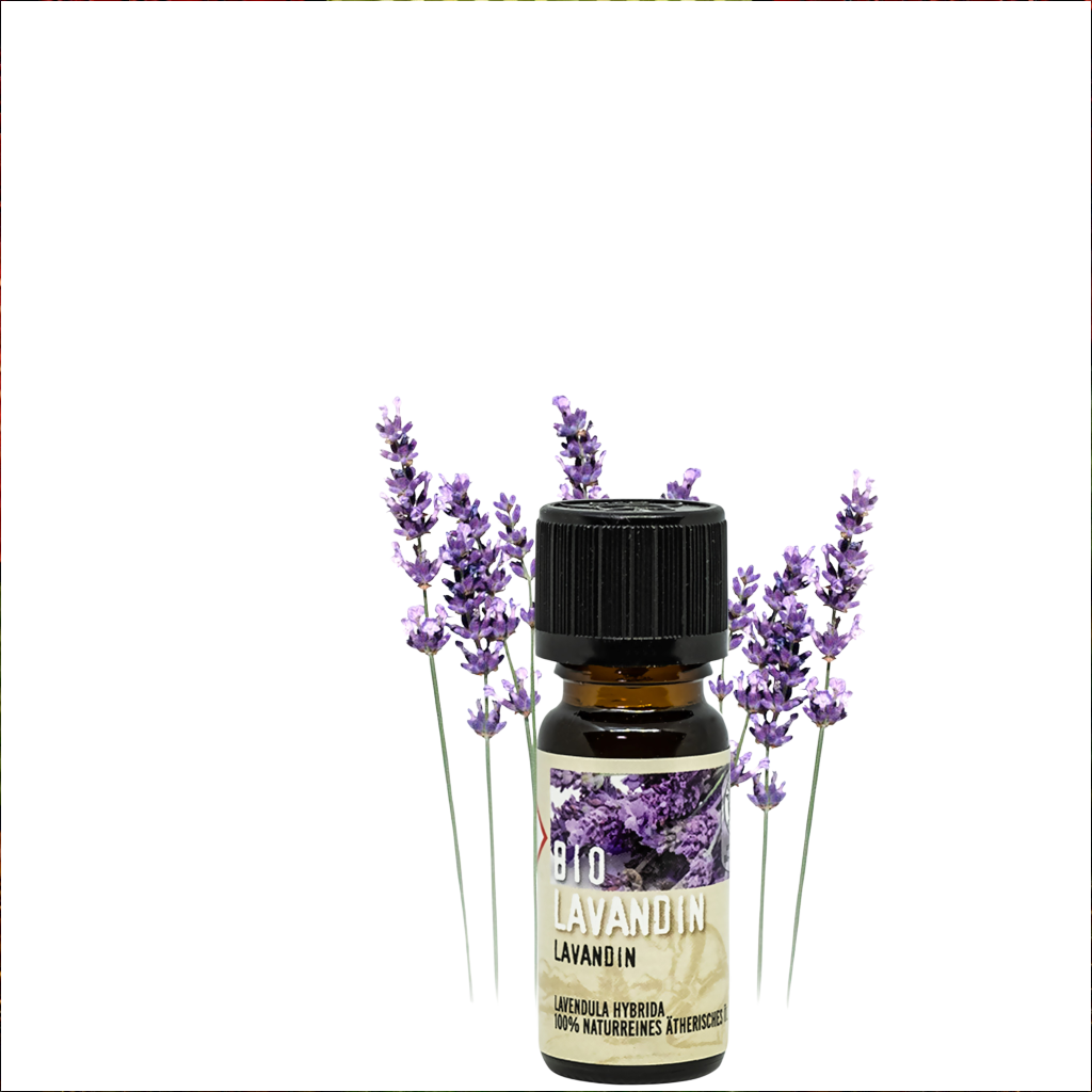 Bio Lavandin - Bio zertifiziertes Ätherische Öl 10 ml