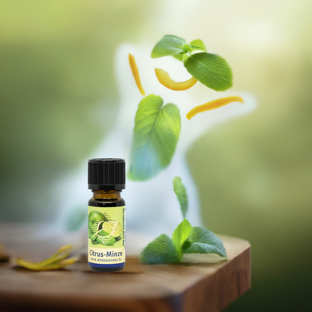 Belebend – Citrus & Pfefferminze – ätherische Ölmischung Aroma Manufaktur® ätherisches Öl