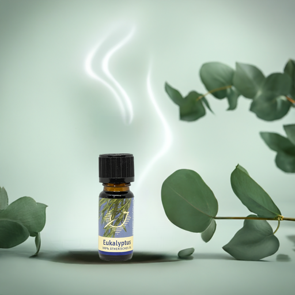 Befreiend – Eukalyptus (Eucalyptus globulus) – ätherisches Öl Aroma Manufaktur® ätherisches Öl