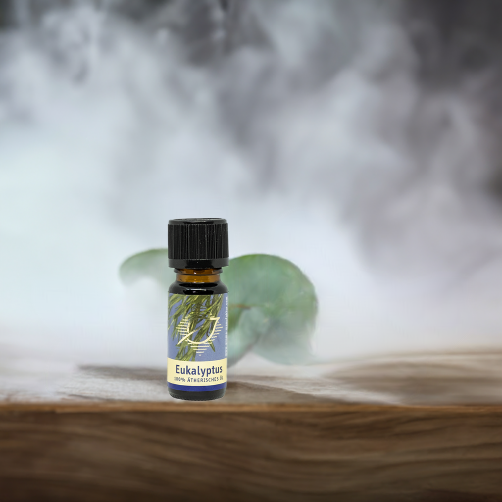 Befreiend – Eukalyptus (Eucalyptus globulus) – ätherisches Öl Aroma Manufaktur® ätherisches Öl