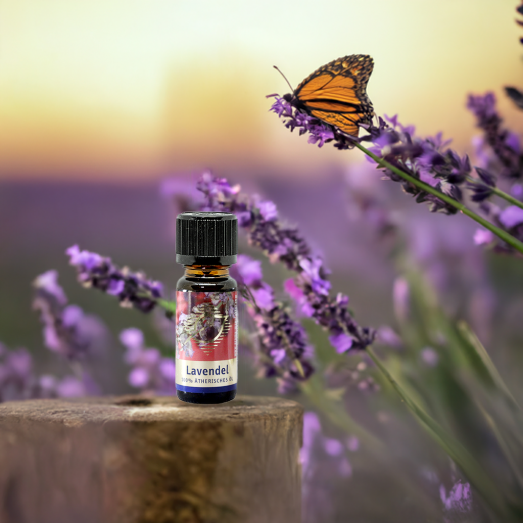 Entspannend – Lavendel (Lavandula angustifolia) – ätherisches Öl Aroma Manufaktur®