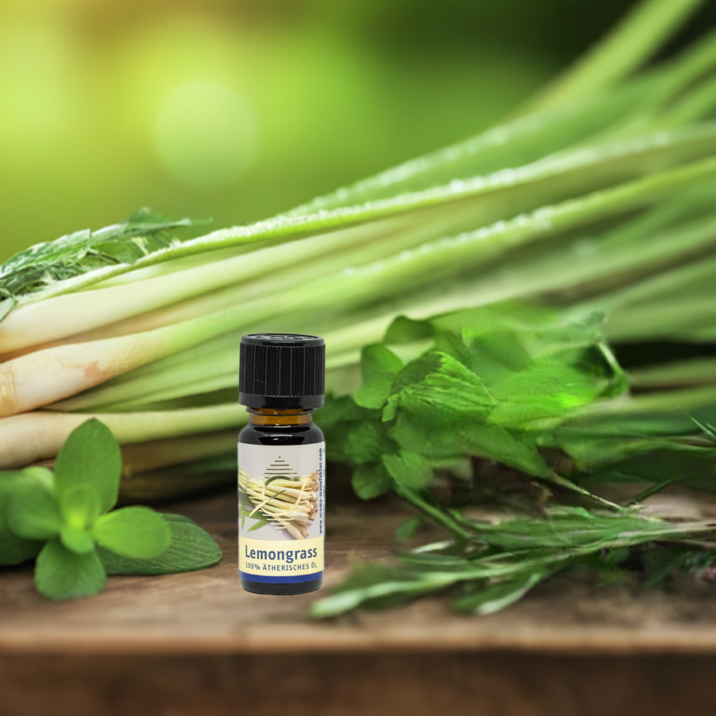 Lemongras Ätherisches Öl - Frische & Klarheit für Körper & Geist, 10 ml Aroma Manufaktur®