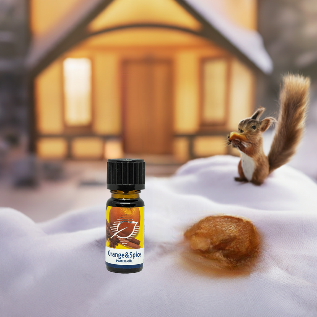 Orange Spice Raumduft – Winterlicher Gewürzduft mit Orangenessenzen, 10 ml Aroma Manufaktur® ätherisches Öl
