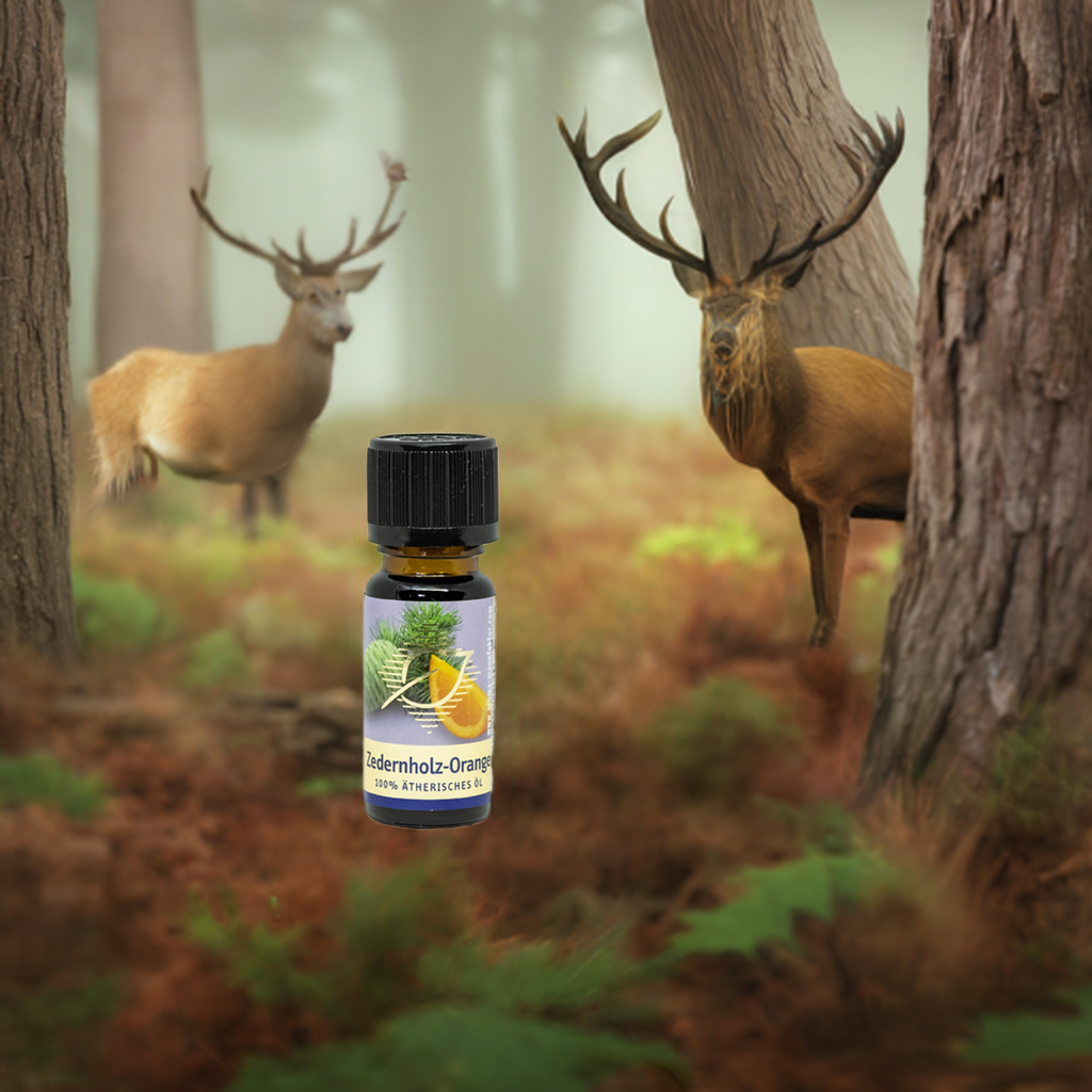 Beruhigend – Zedernholz & Orange – ätherische Ölmischung Aroma Manufaktur® ätherisches Öl