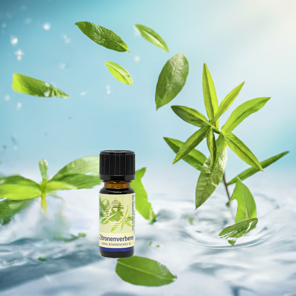 Erfrischend – Zitronenverbene (Aloysia citriodora) – ätherisches Öl Aroma Manufaktur®