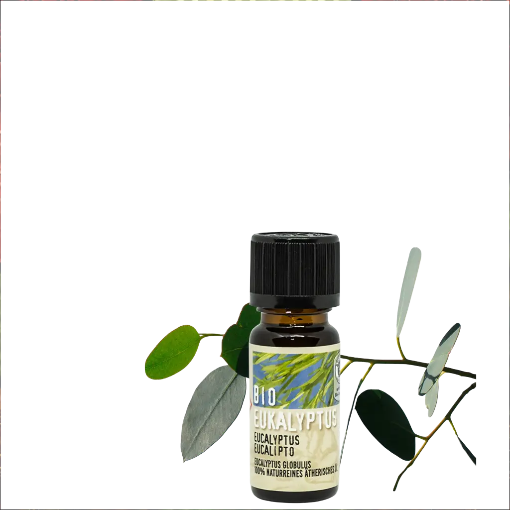Bio Eukalyptus zertifiziertes Ätherische Öl 10 ml