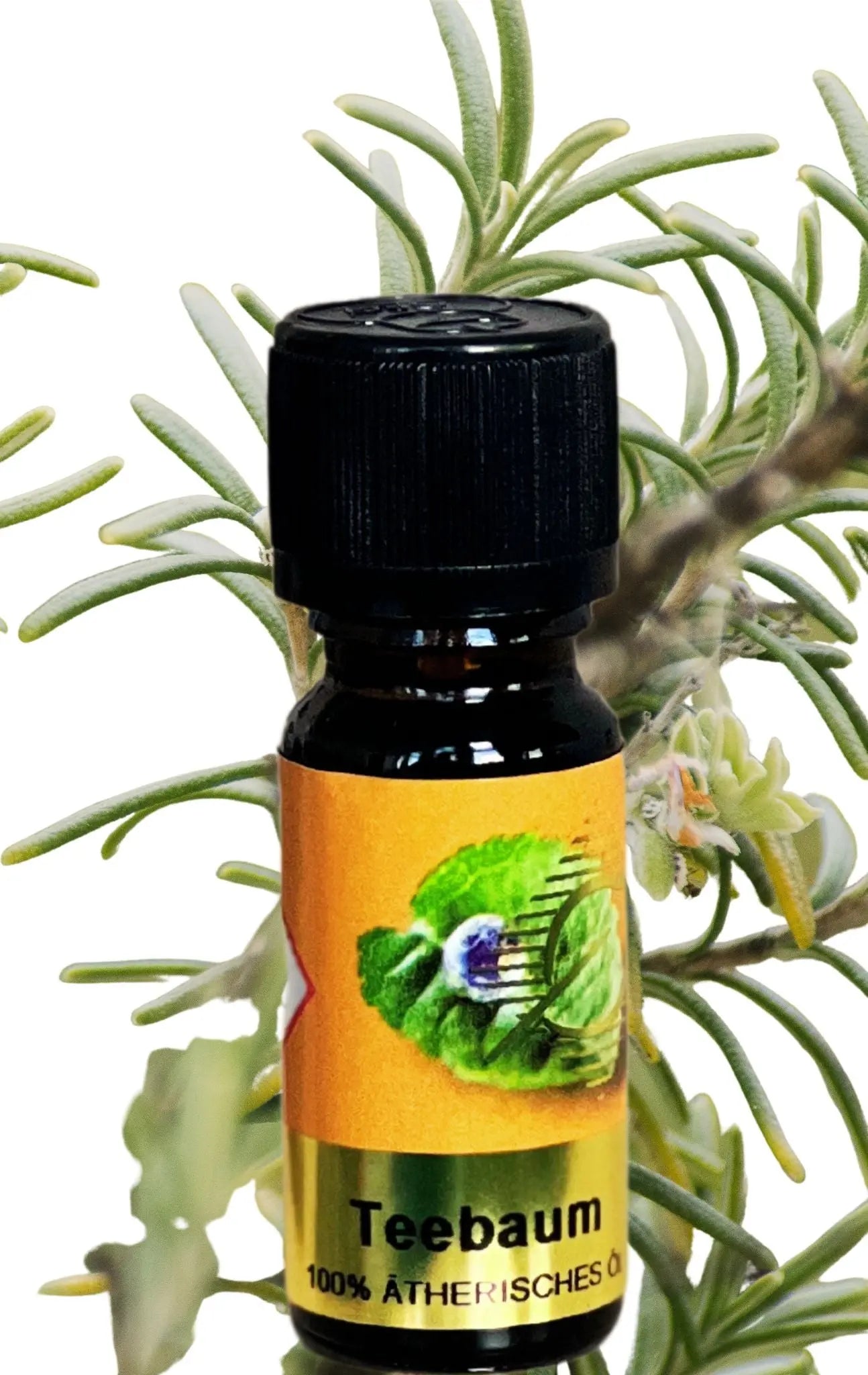 Teebaumöl 100% naturreines ätherisches Öl