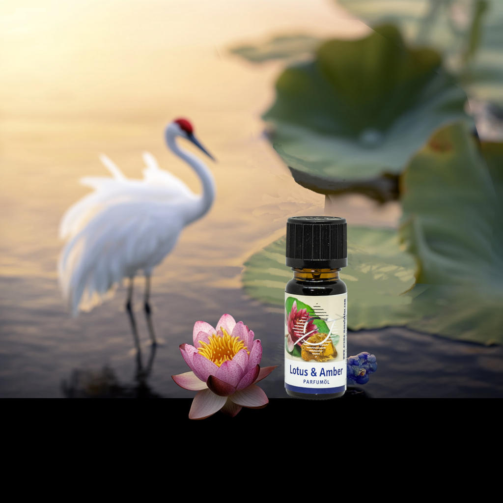 Lotus-Amber Parfum-Öl – 100 % reines Duftöl für Entspannung, 10 ml Aroma Manufaktur® ätherisches Öl