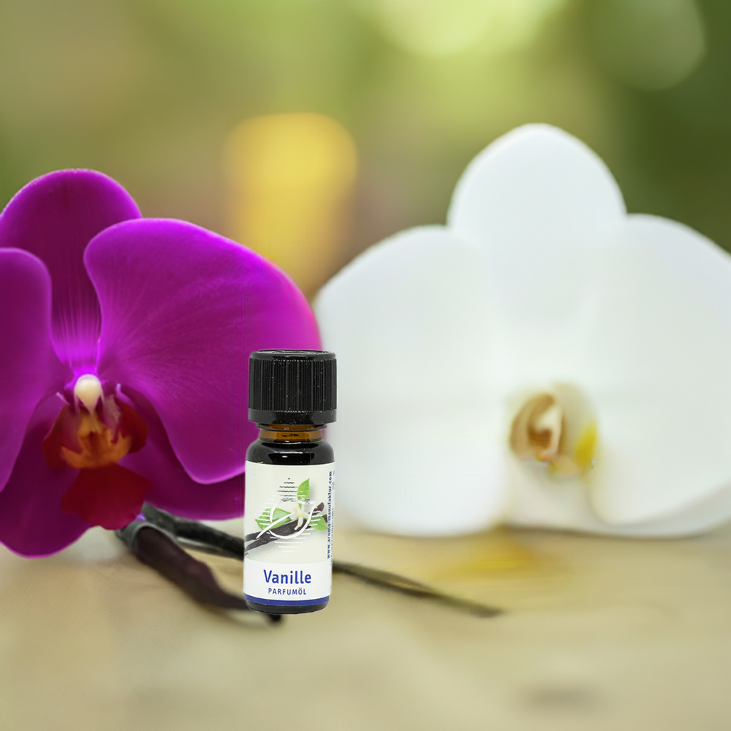 Vanille Duftöl – Beruhigender & süßer Raumduft für Diffuser, 10 ml Aroma Manufaktur® ätherisches Öl