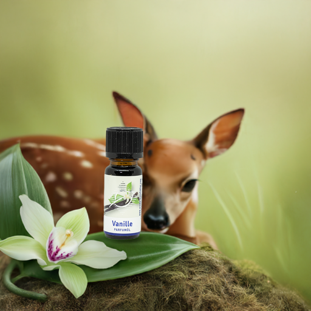 Vanille Duftöl – Beruhigender & süßer Raumduft für Diffuser, 10 ml Aroma Manufaktur® ätherisches Öl
