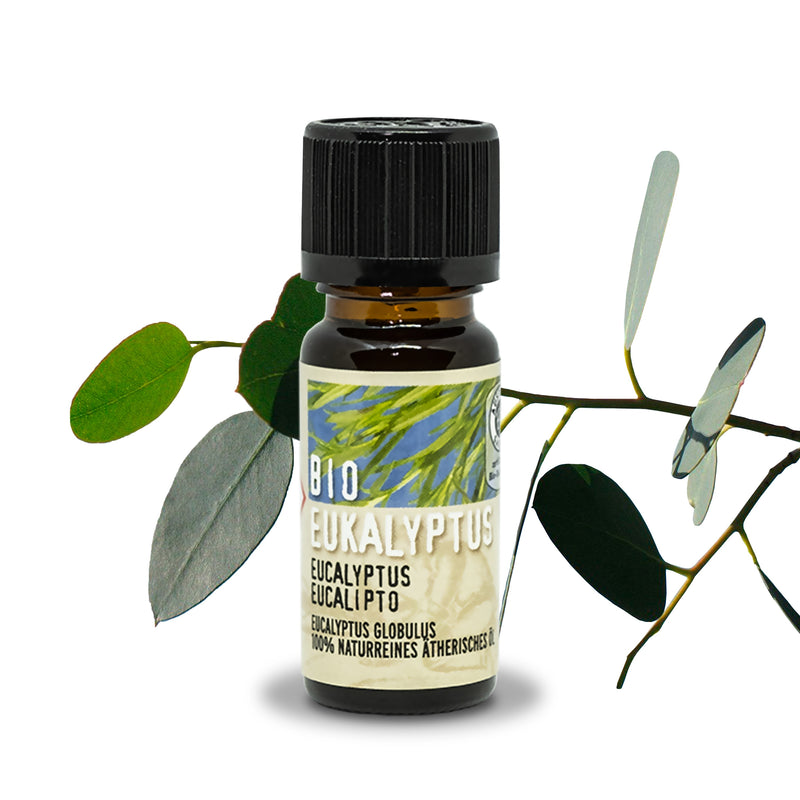 Eukalyptus Bio Zertifiziertes Ätherisches Öl