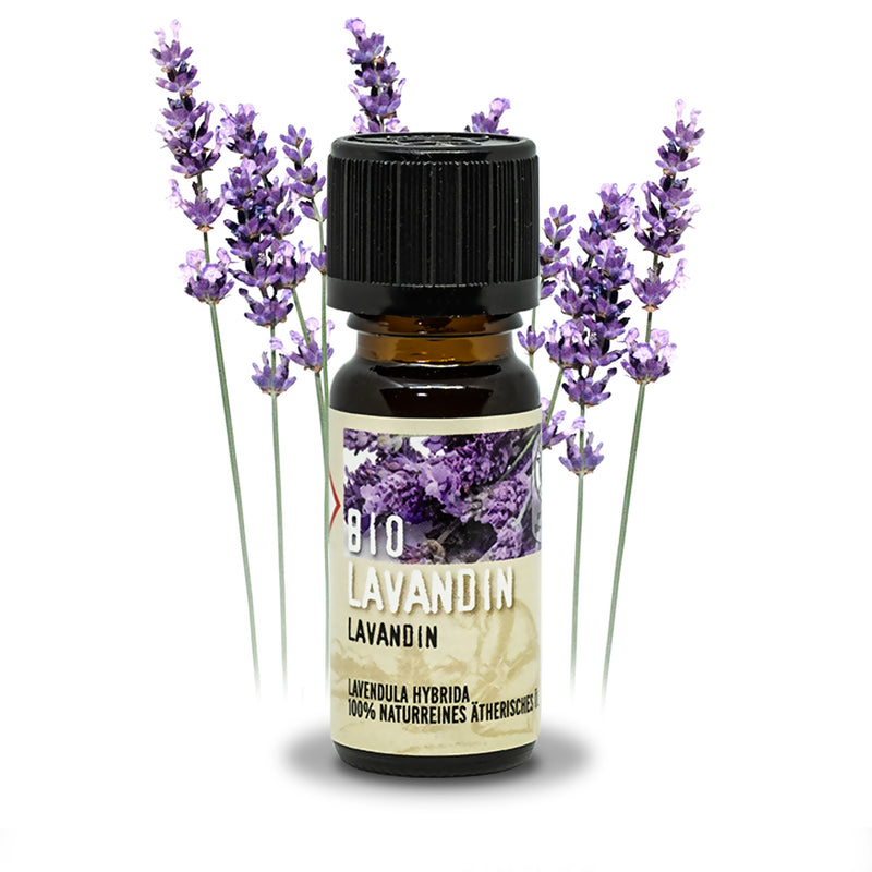 Lavendel Bio Duftöl Ätherisches Öl